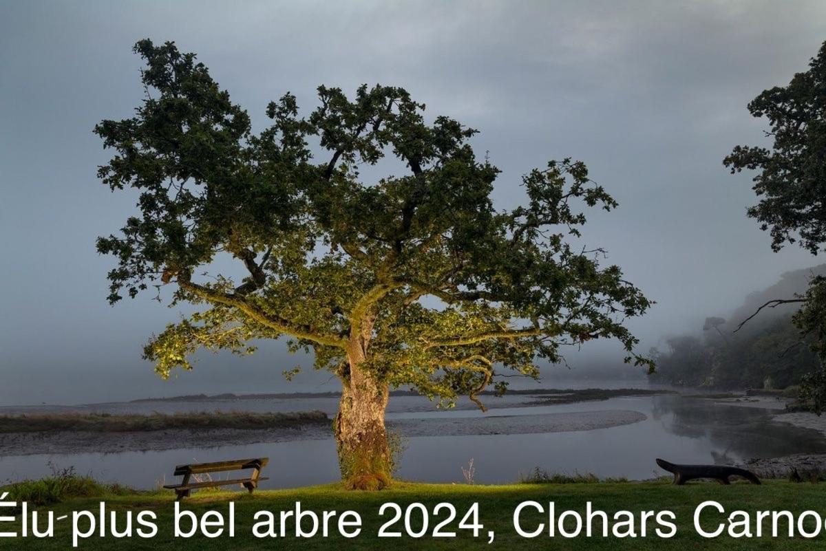 Ty Glazu Doelan Espace 60M2, Port& Criques A Pied, 2 Chambres Privees Au 1Er Etage, Sdb, Wc Separe 克拉斯卡诺特 外观 照片